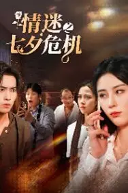 《情迷之七夕危机》封面