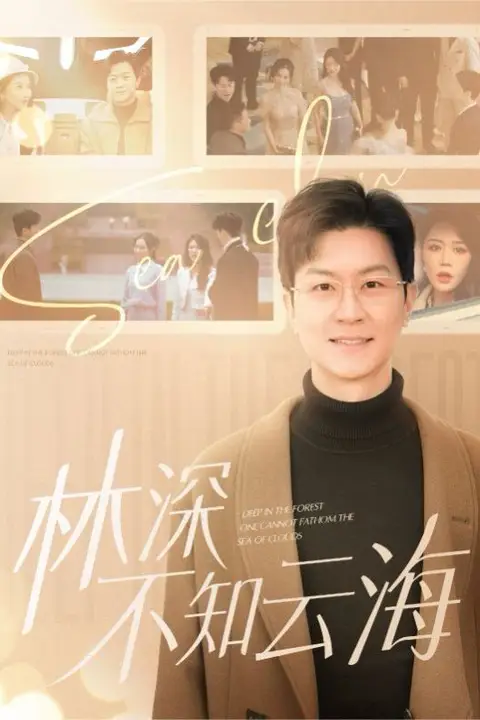 《林深不知云海》封面
