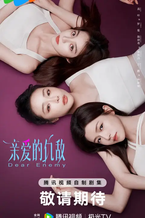 《亲爱的仇敌》封面