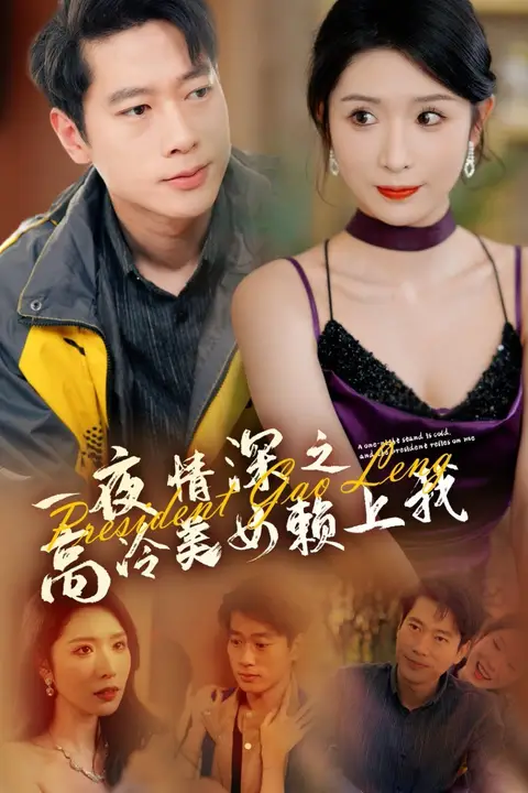 《一夜情深之高冷美女赖上我》封面