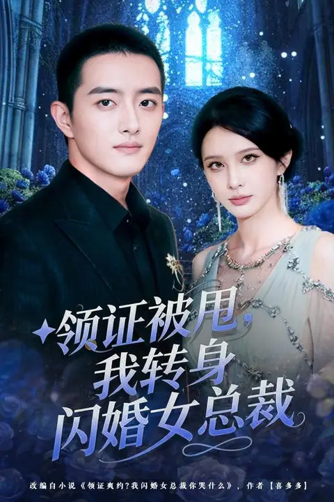 《领证被甩,我转身闪婚女总裁》封面