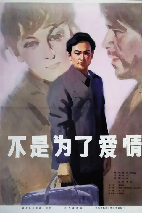 《不是为了爱情》封面