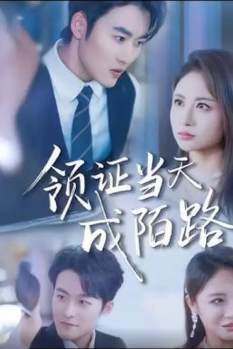 《领证当天成陌路》封面