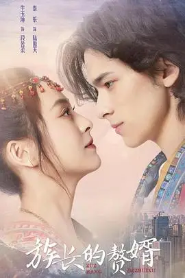 《族长的赘婿》封面
