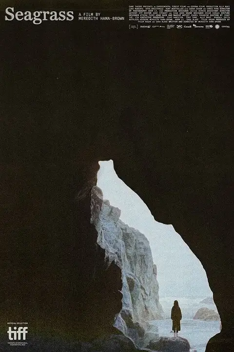 《海草》封面