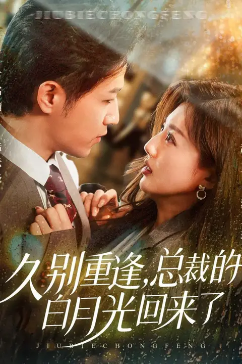 《久别重逢，总裁的白月光回来了》封面