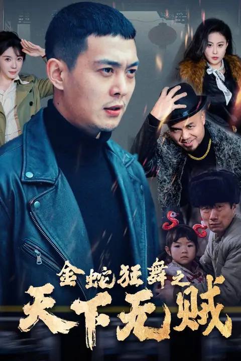 《金蛇狂舞之天下无贼》封面