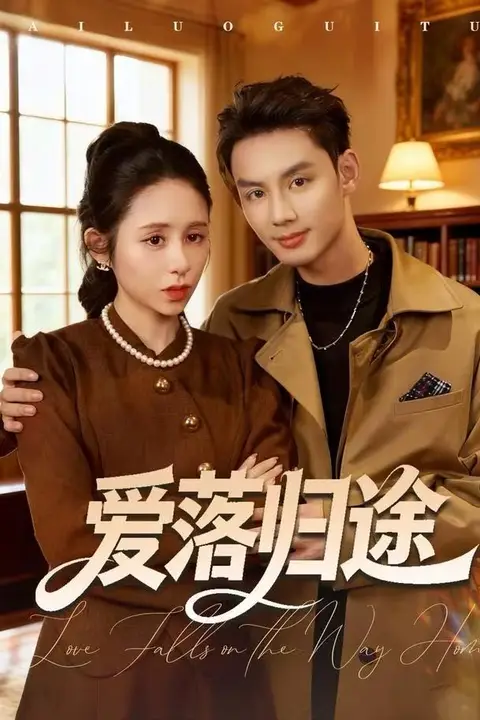 《爱落归途》封面