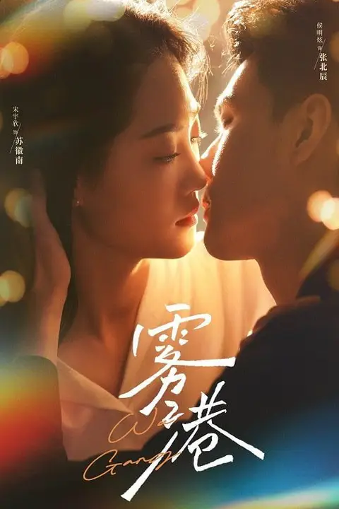 《雾港》封面