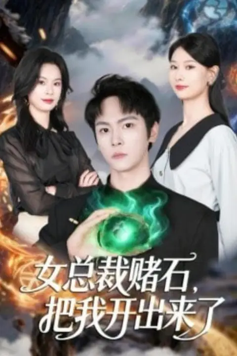 《女总栽赌石,把我开出来了》封面