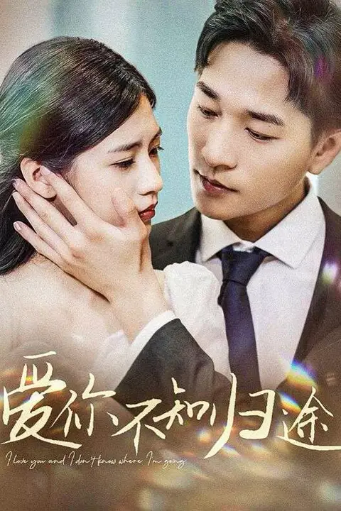 《爱你不知归途(爱你漫漫长路)》封面
