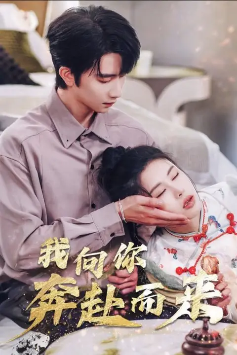 《我向你奔赴而来》封面
