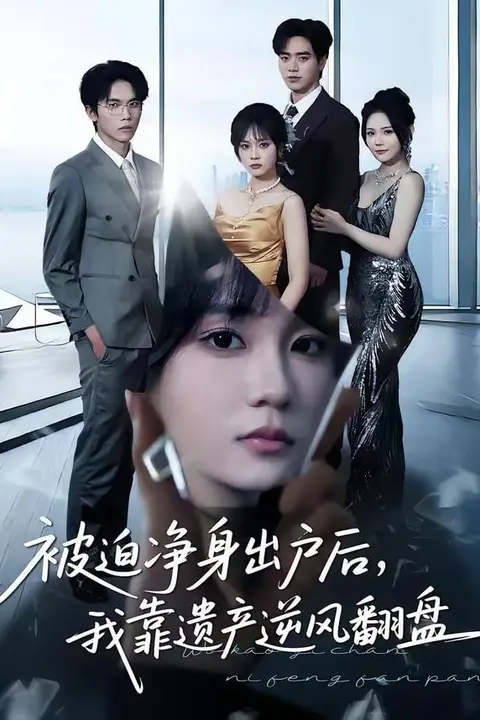 《被迫净身出户后,我靠遗产逆风翻盘》封面