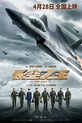 《长空之王》封面