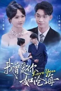 《我曾爱你如沧海》封面
