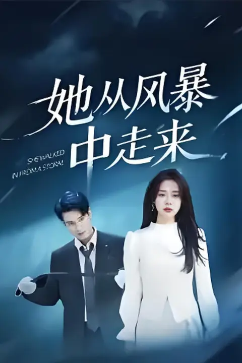 《她从风暴中走来》封面