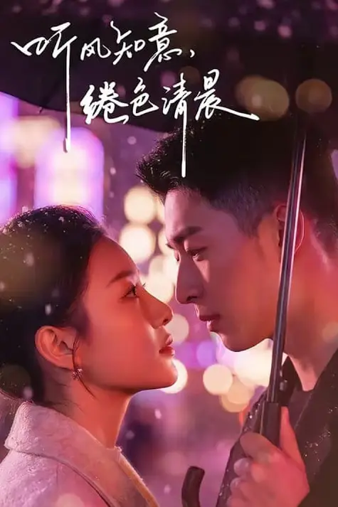 《听风知意，绻色清晨》封面