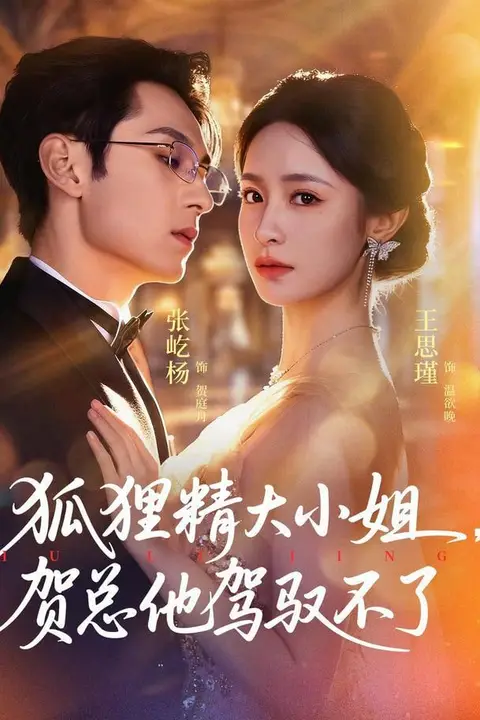 《狐狸精大小姐,贺总他驾驭不了》封面