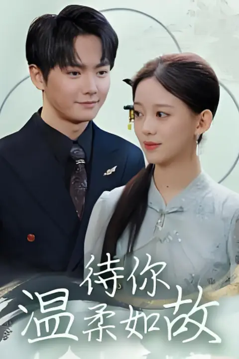《待你温柔如故》封面