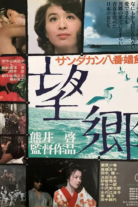《望乡1974》封面