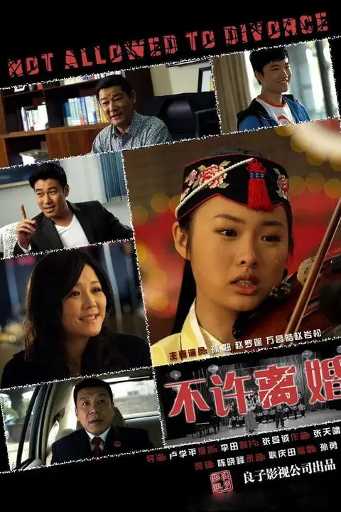 《不许离婚 2013》封面