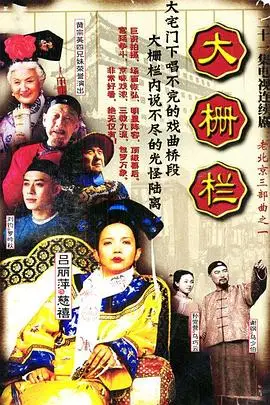 《大栅栏》封面
