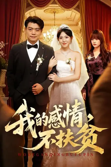《我的感情,不扶贫》封面