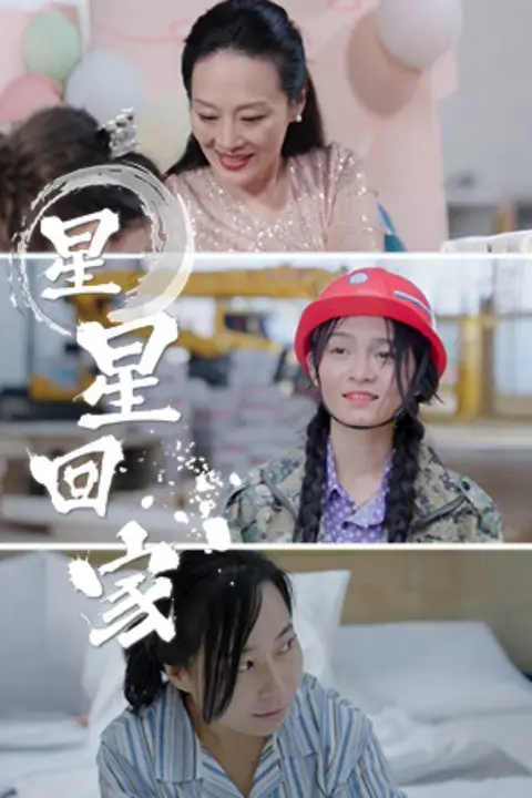《星星回家》封面