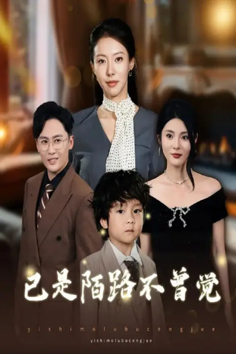 《已是陌路不曾觉》封面