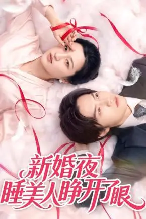 《新婚夜睡美人睁开了眼》封面