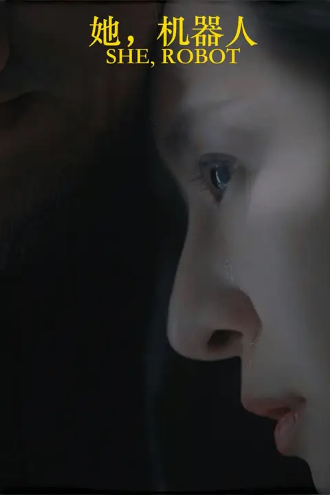 《她,机器人》封面
