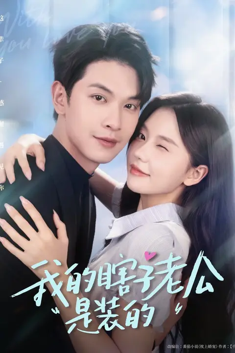 《我的瞎子老公是装的》封面