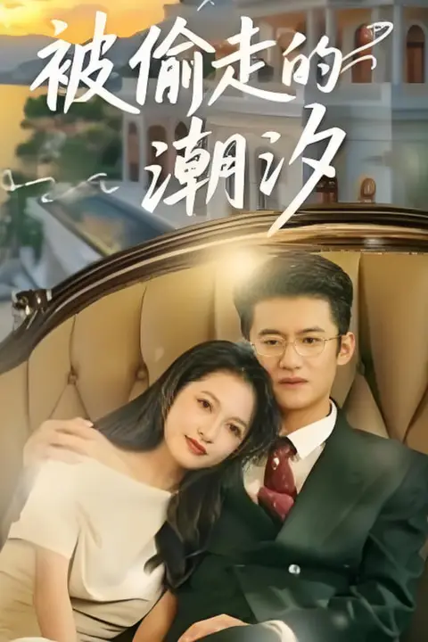 《被偷走的潮汐》封面