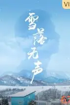 《雪落无声》封面