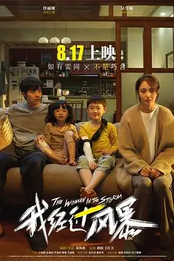 《我经过风暴》封面