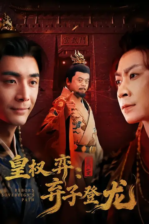 《皇权弈弃子登龙》封面