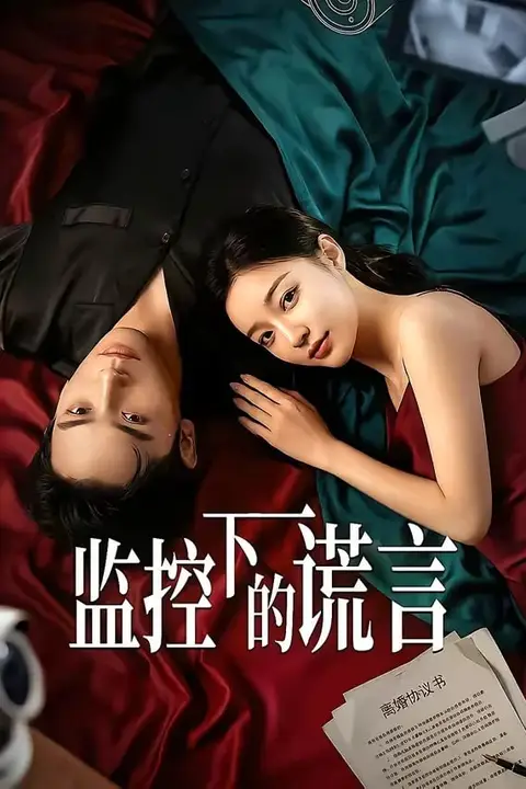 《监控下的谎言》封面