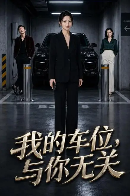 《我的车位,与你无关》封面