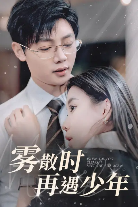 《雾散时再遇少》封面