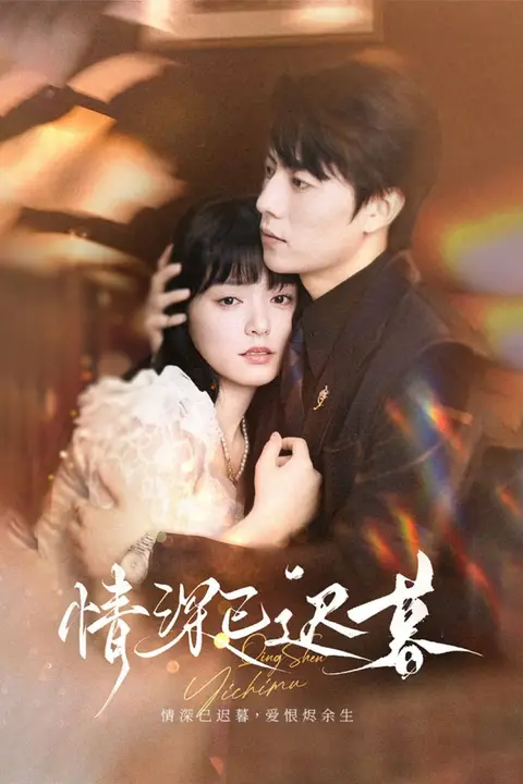 《情深已迟暮》封面
