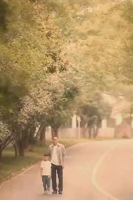 《不装了我是你惹不起的存在》封面