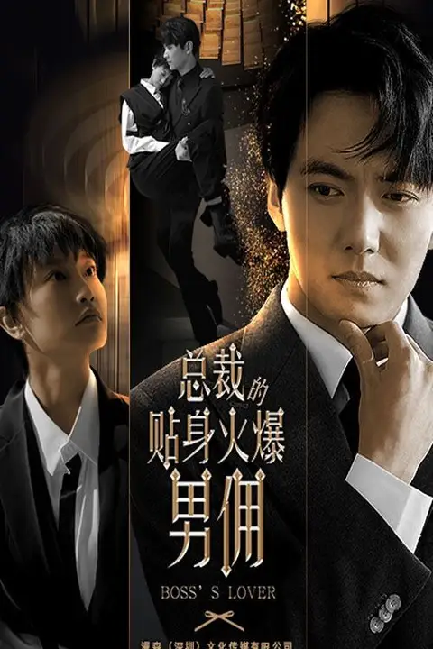 《总裁的贴身火爆男佣》封面