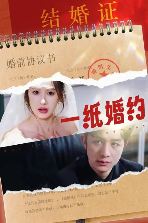 《一纸婚约》封面