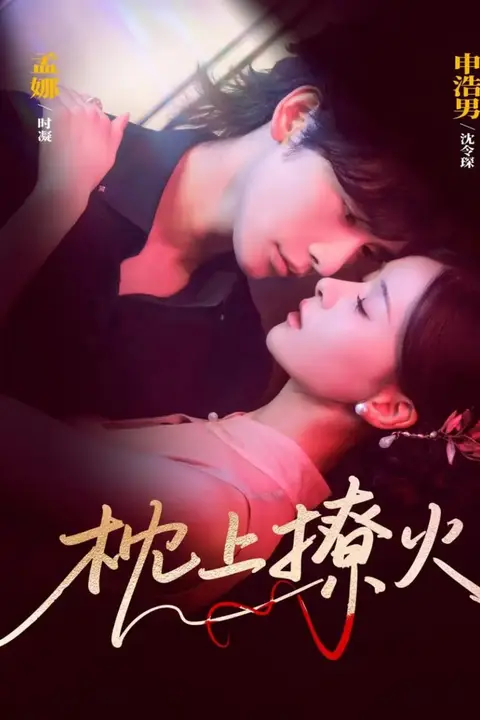《枕上撩火》封面