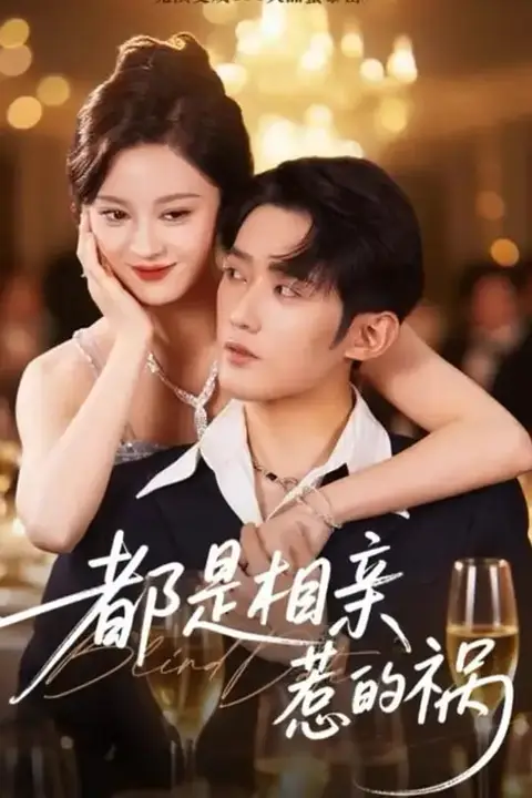《都是相亲惹的祸》封面