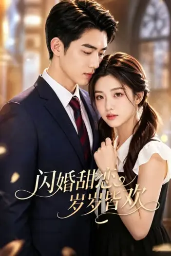 《闪婚甜恋,岁岁皆欢》封面