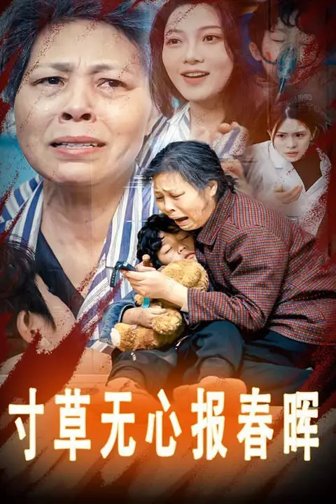 《寸草无心报春晖》封面
