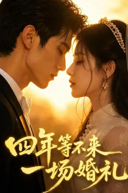 《四年等不来一场婚礼》封面