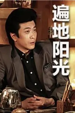 《遍地阳光》封面