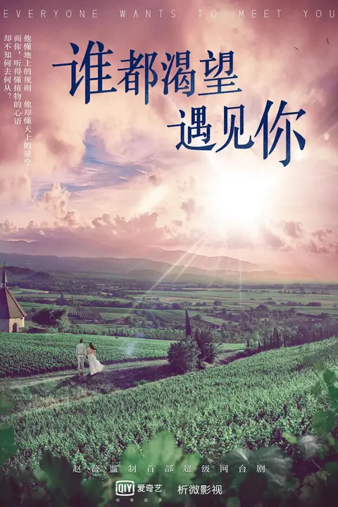 《谁都渴望遇见你》封面